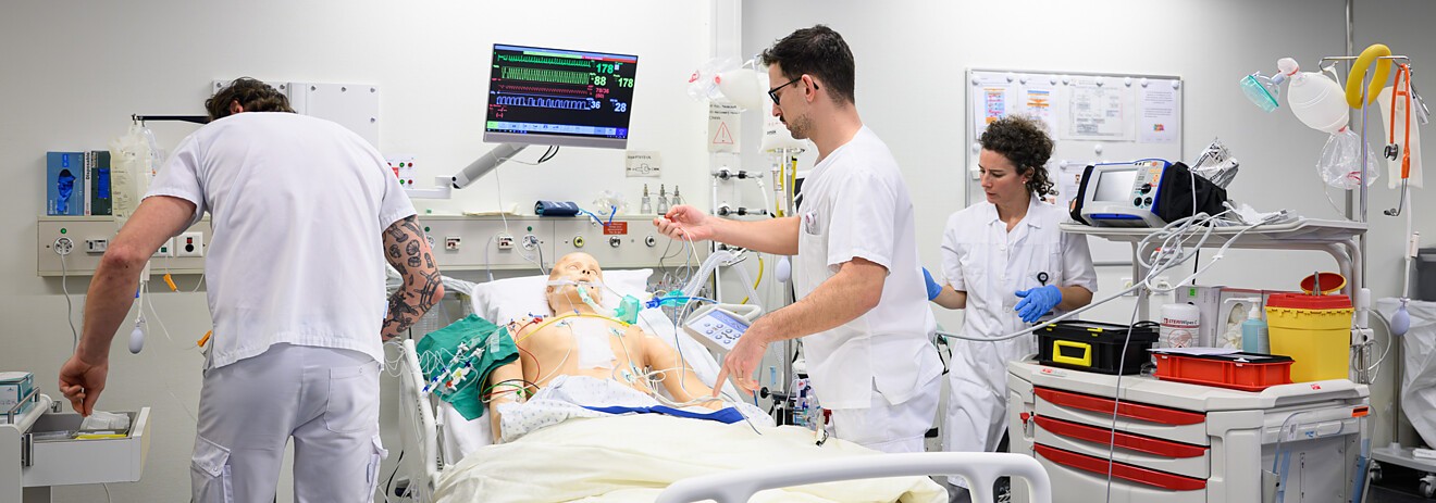 Enseignement et implication des collaboratrices et collaborateurs