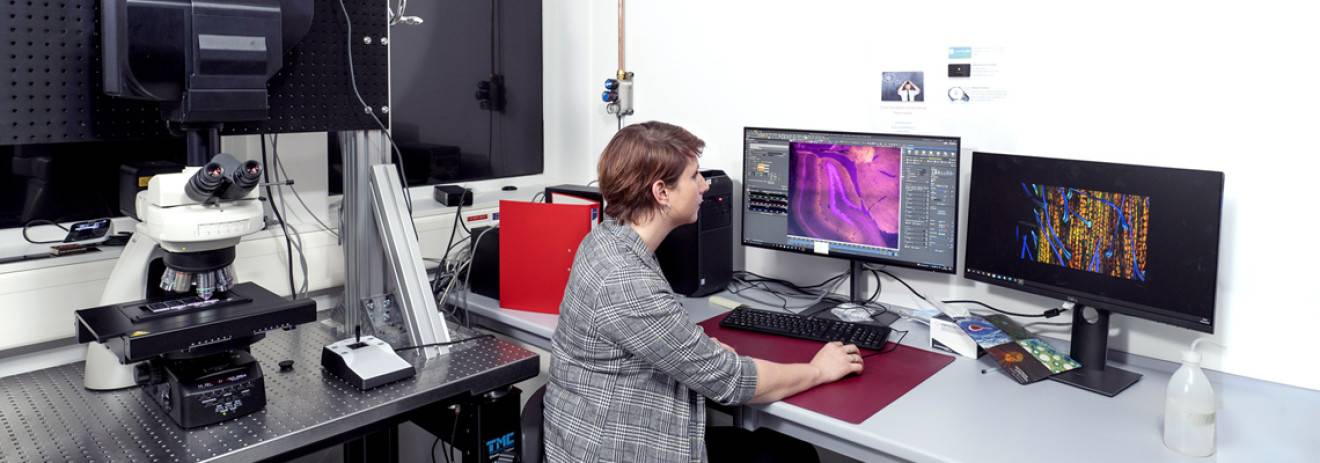 Recherche clinique, académique ou technologique