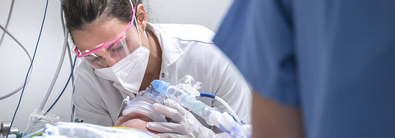 L’Institut universitaire de formation et de recherche en soins
