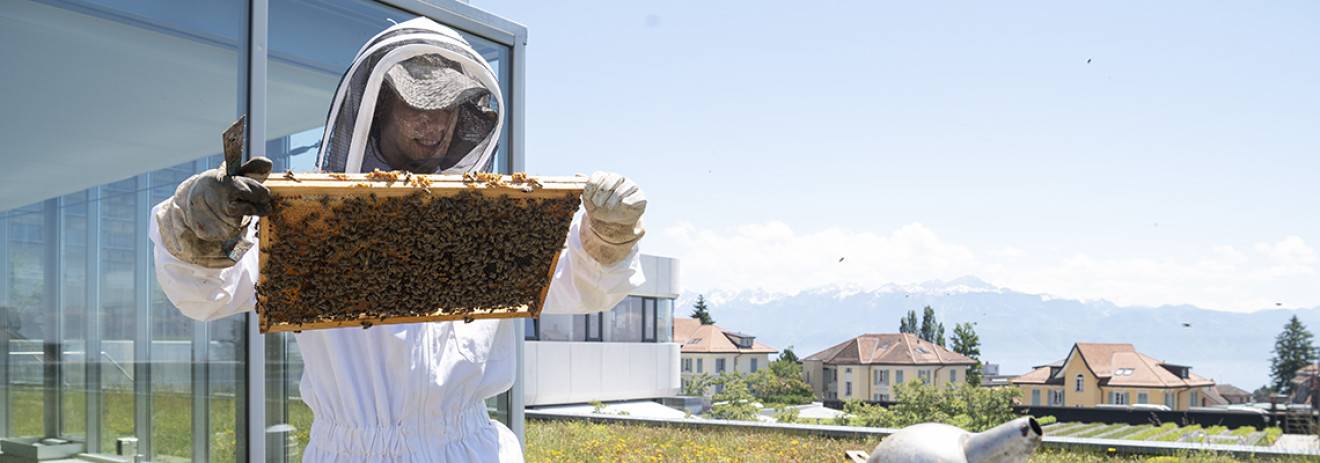 Respecter l’environnement
